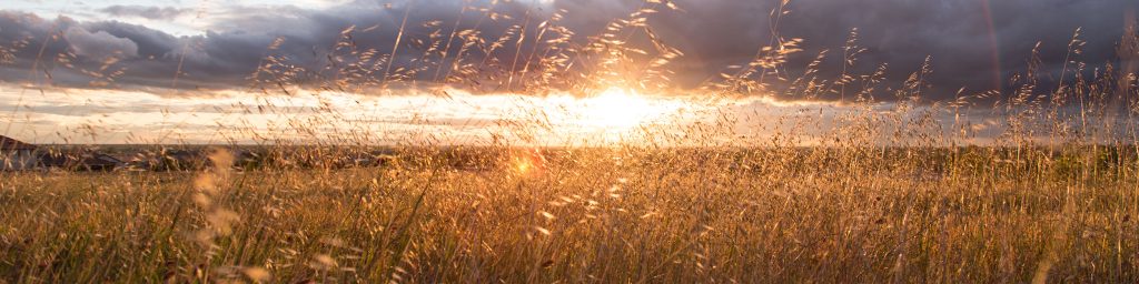 Kearney Seventh-day Adventist Church
