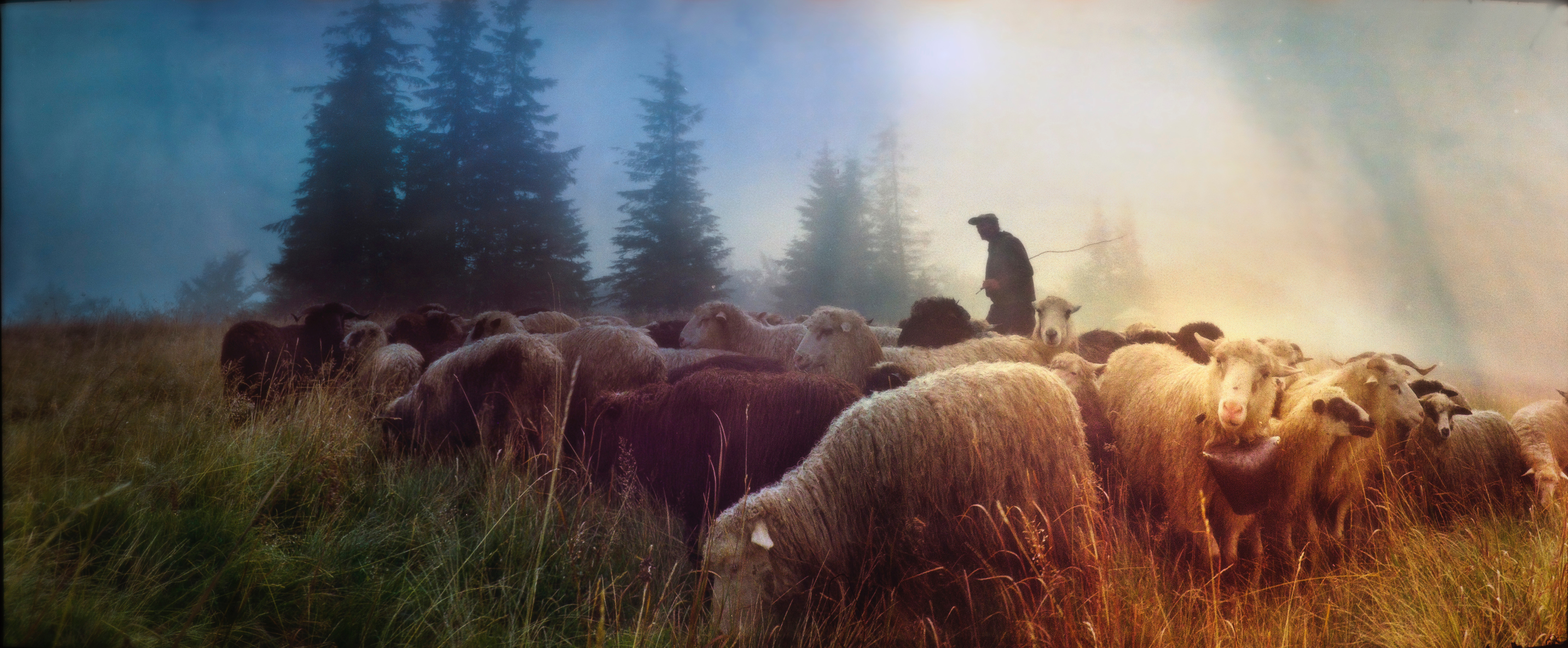 High Calling | Inside Look Into the Lives of Our Pastors
