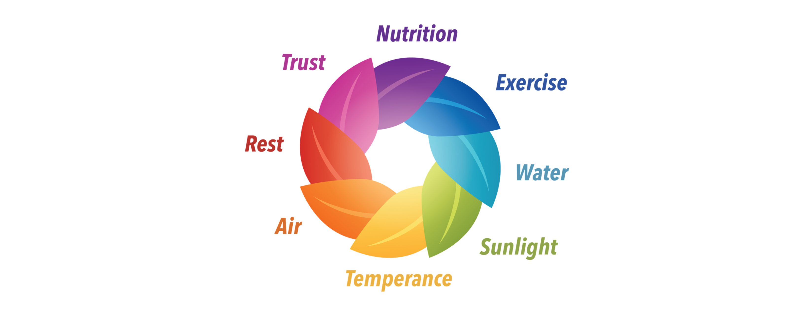 Boost Your Immunity