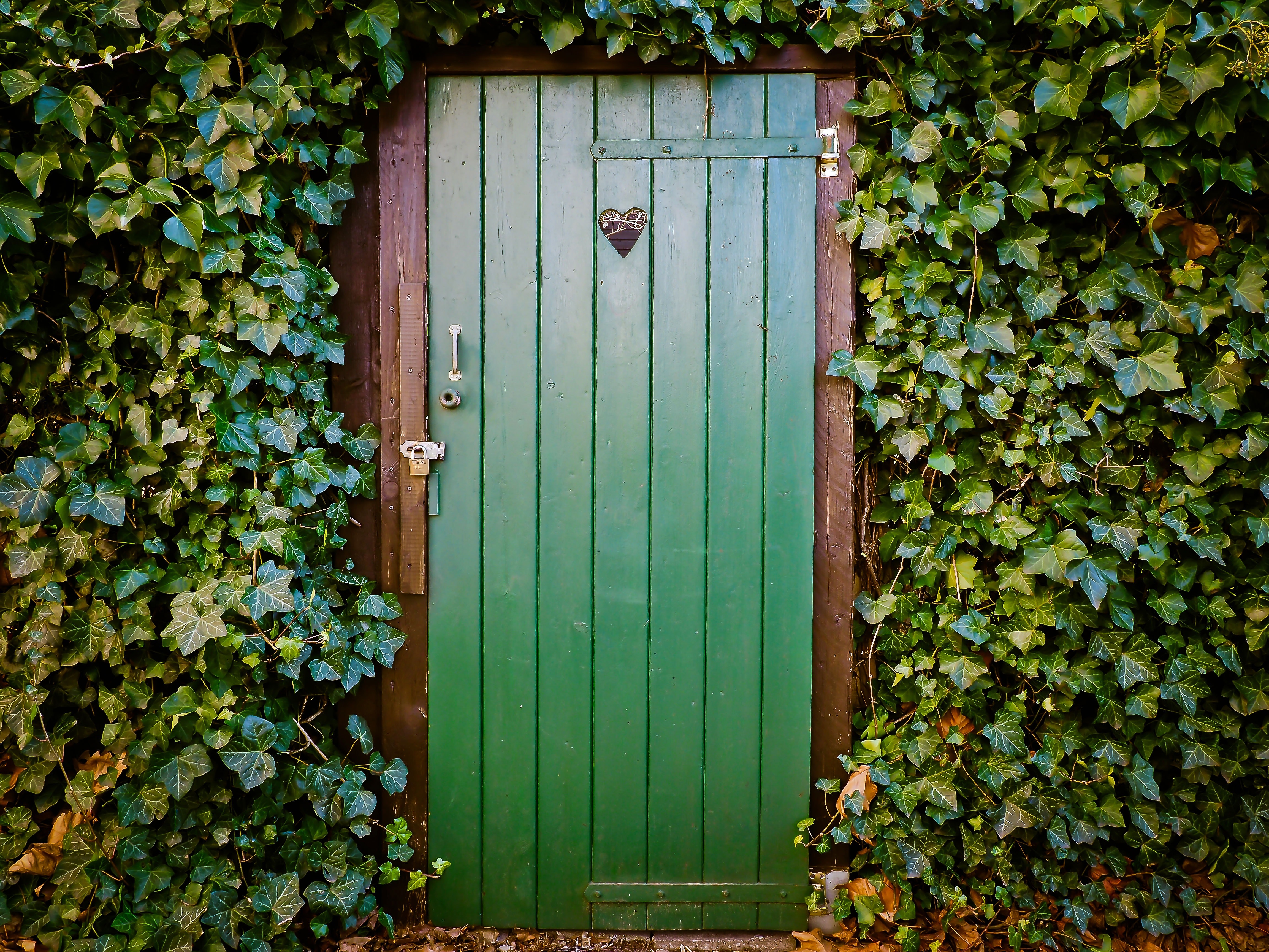Opening Doors to Love