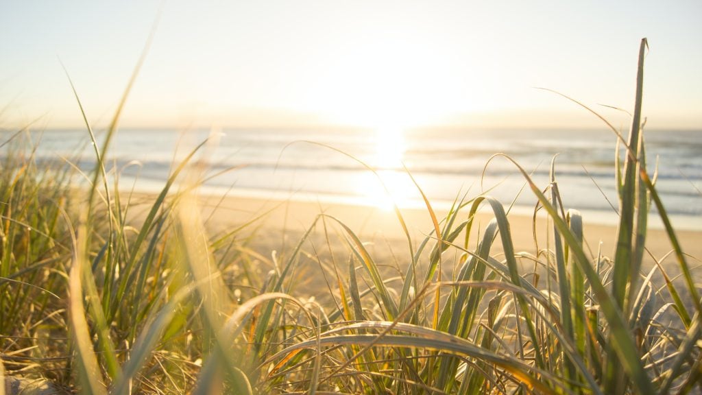 Easy Ways to Increase Your Vitamin D
