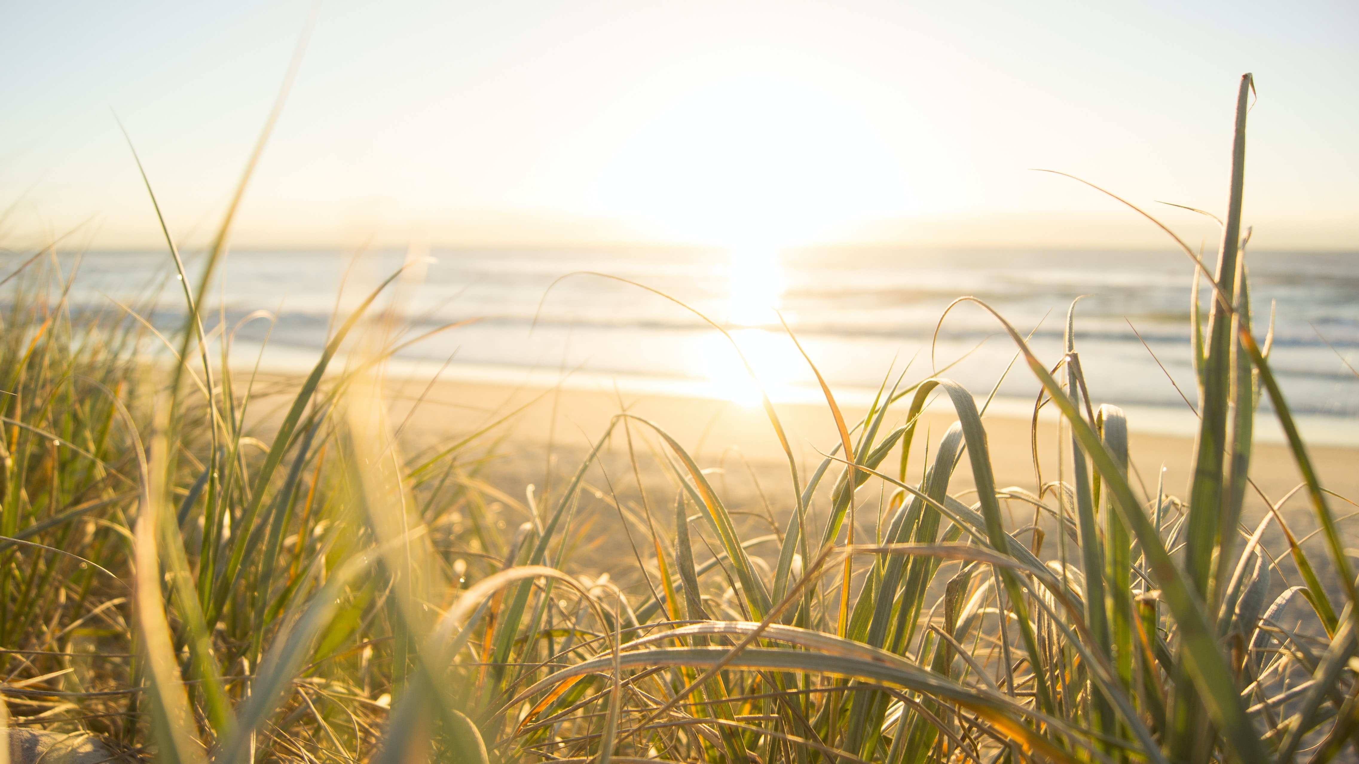 Easy Ways to Increase Your Vitamin D