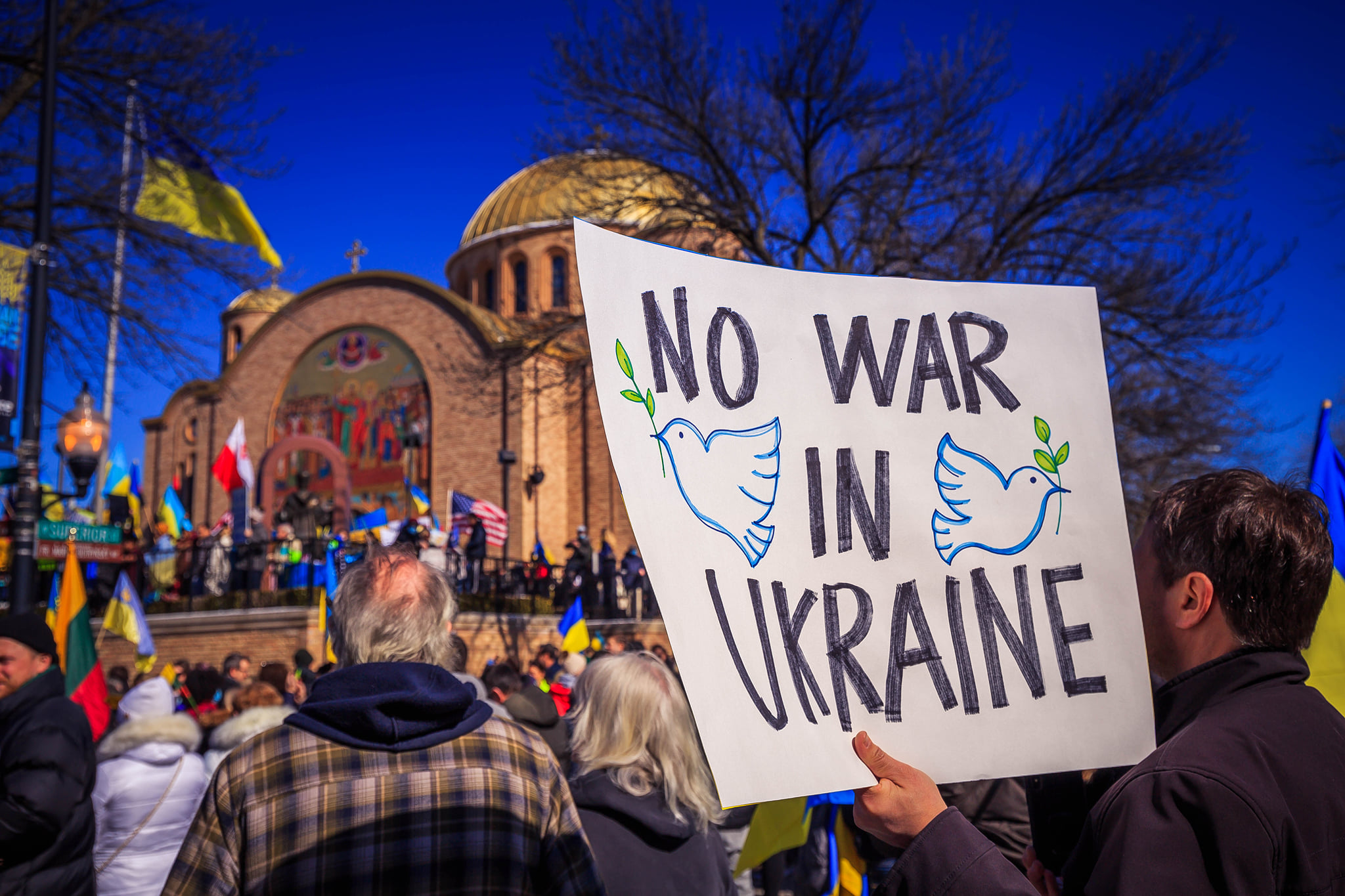 ‘We Can’t Stand Idly By’