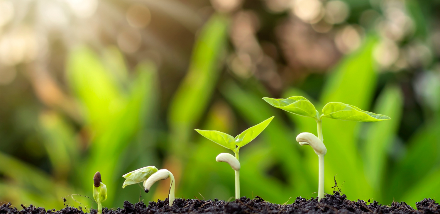 Seven Layers of Stewardship