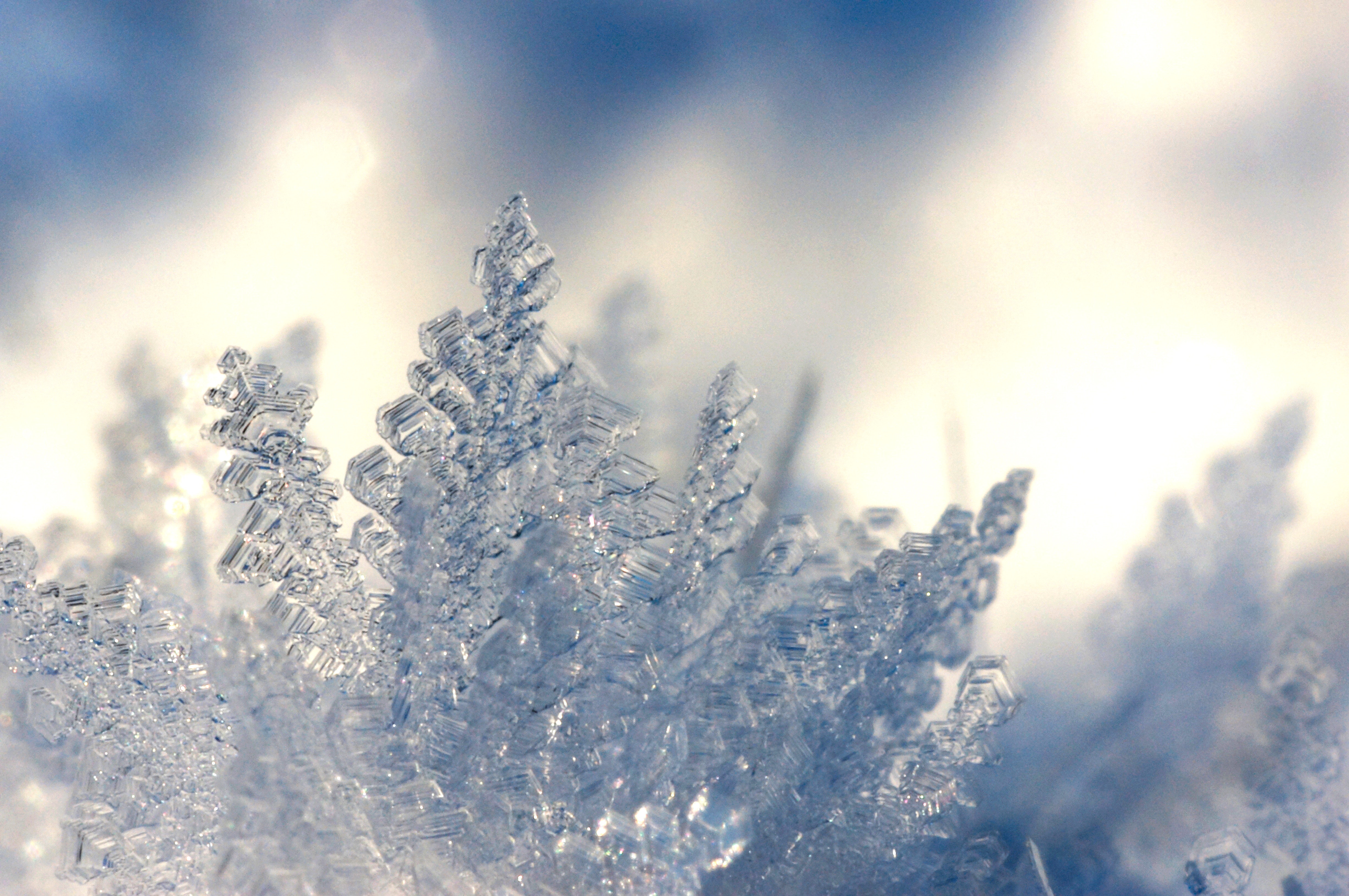 Icy Teeth and Snowflake Kisses