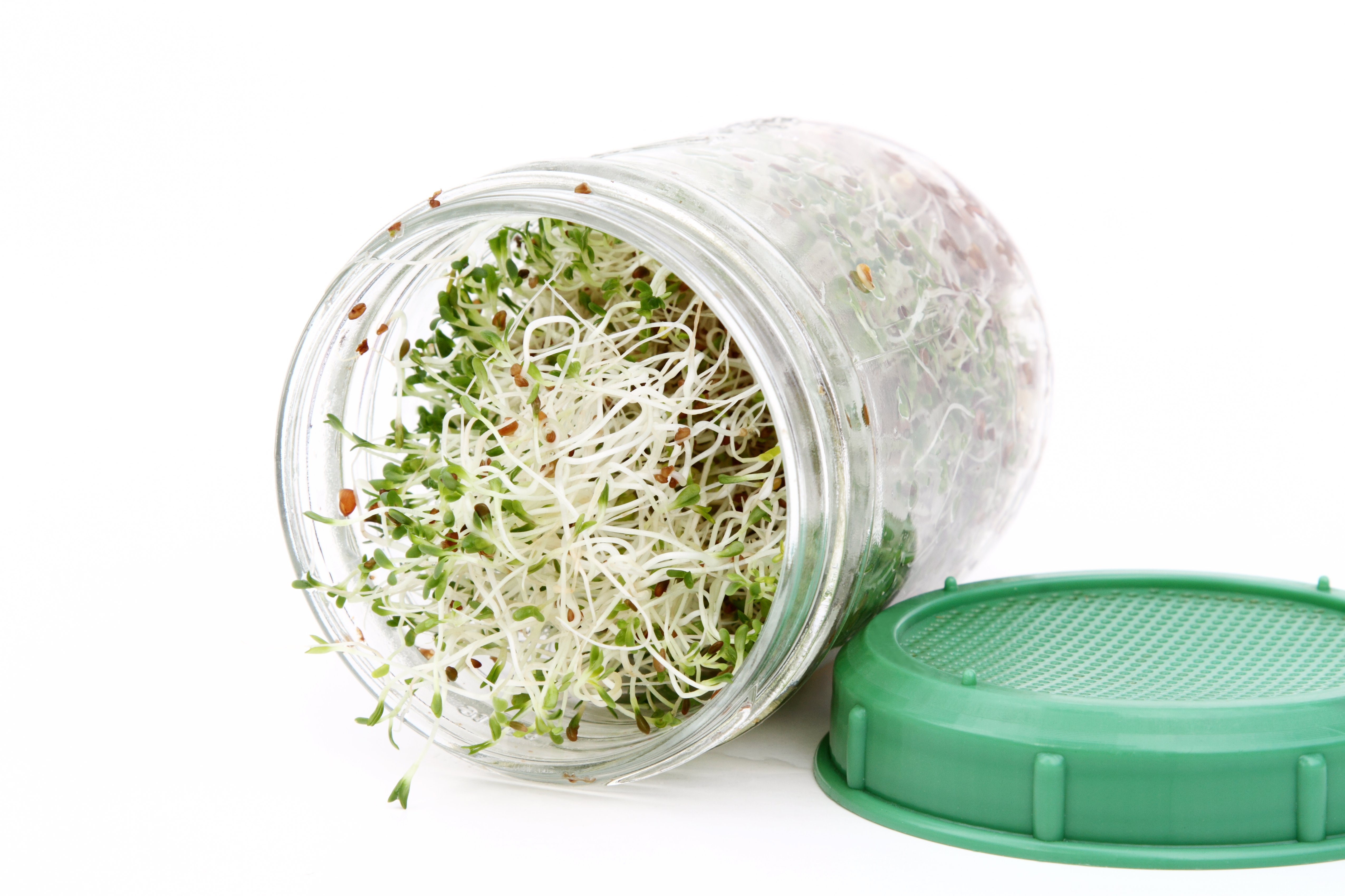Benefits of Sprouting