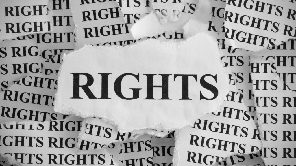 Immigration Enforcement and Your Rights