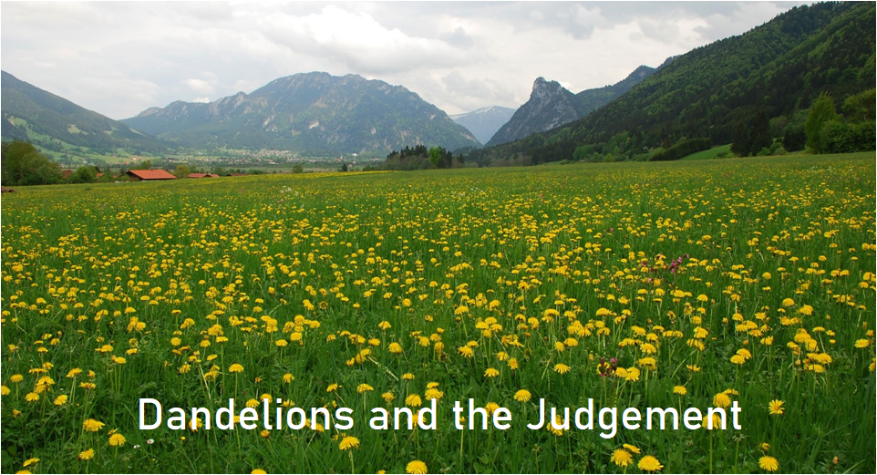 Dandelions and the Judgement