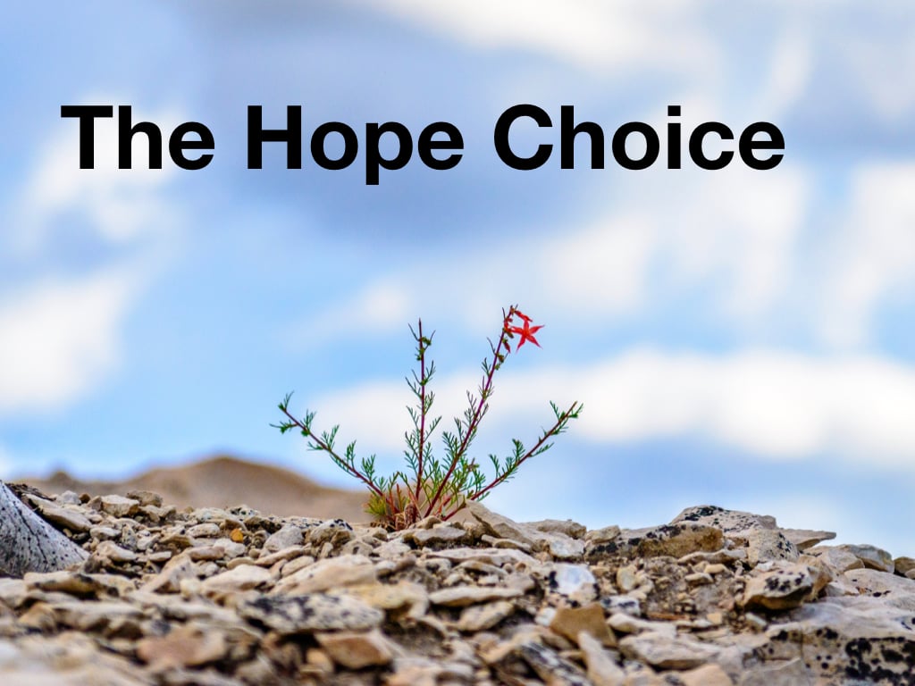 The Hope Choice