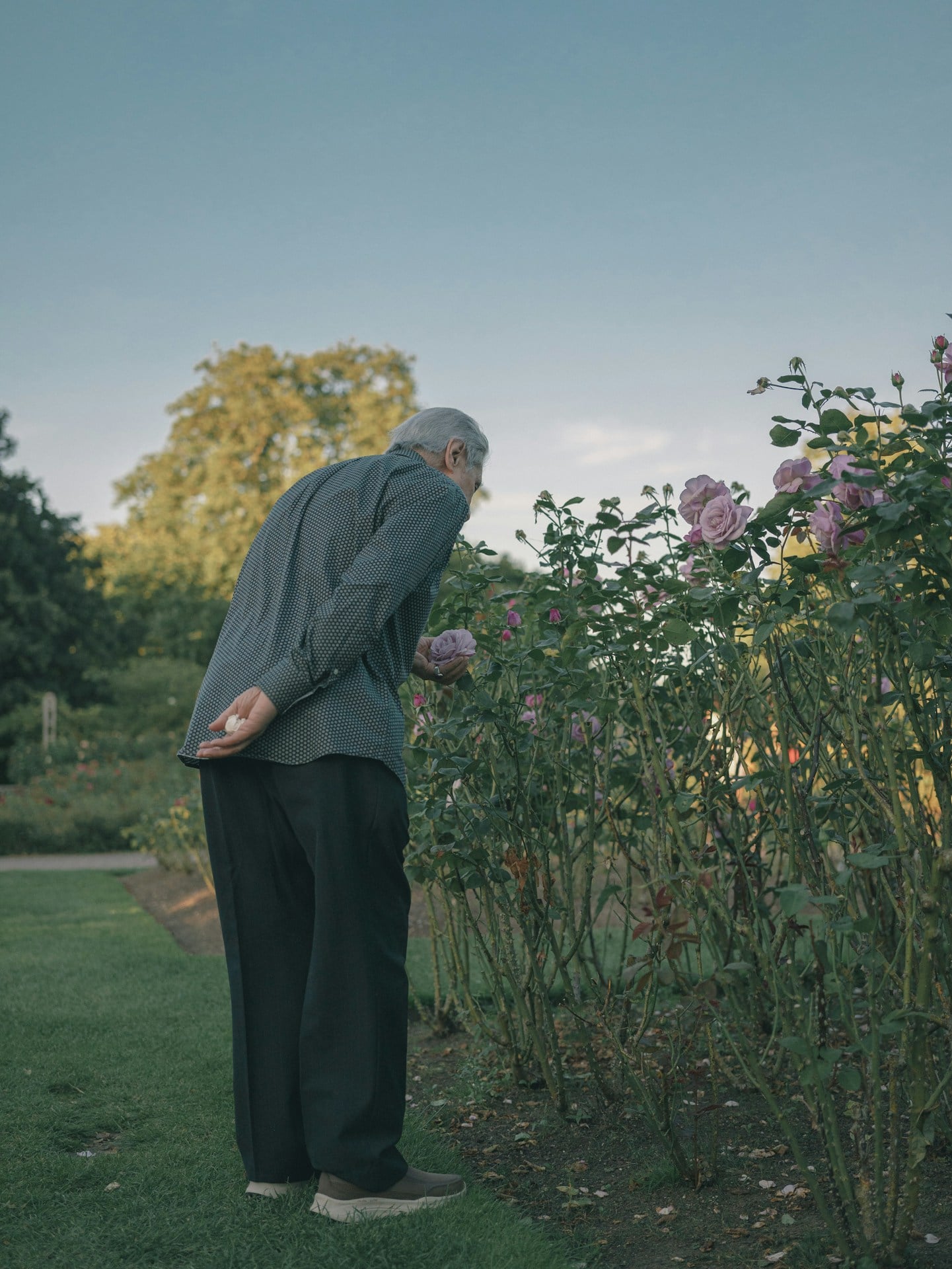 A man standing in the grass next to a bush