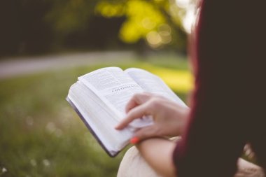 Bible Studies
