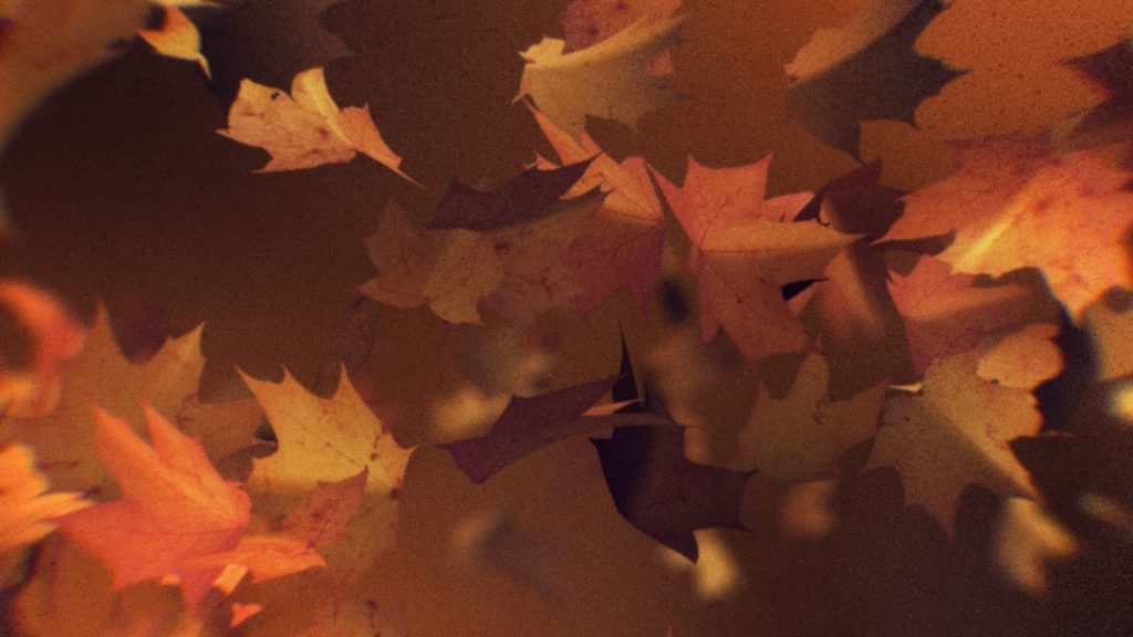 Falling Leaves