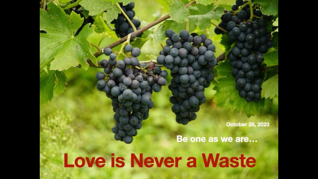 Love is Never a Waste