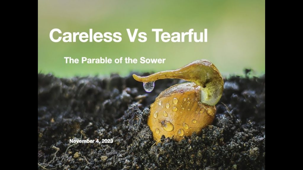 Careless Vs Careful