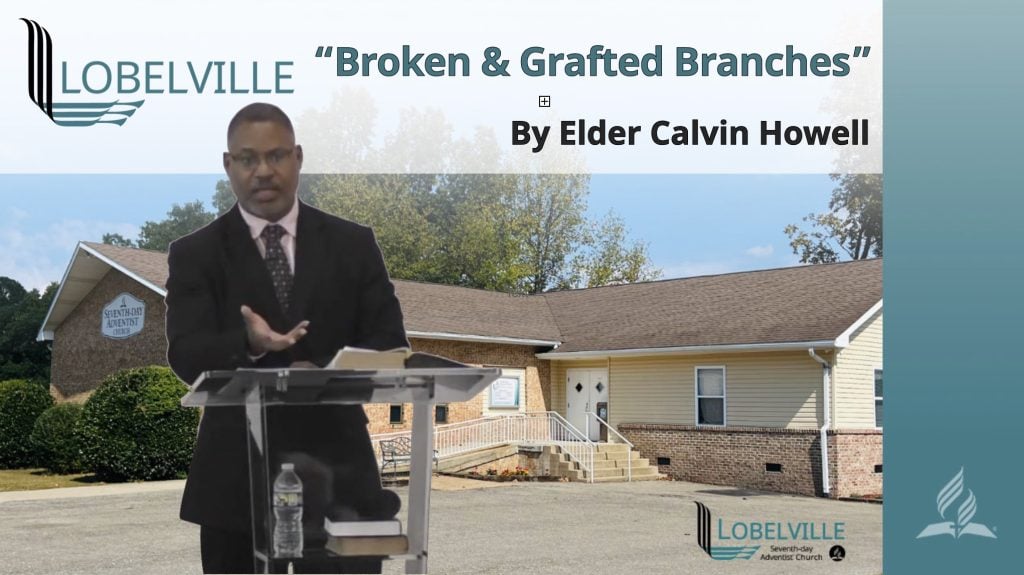 Broken Branches & Grafted Branches