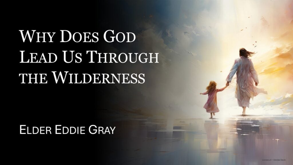 Why Does God Lead Us Through the Wilderness?