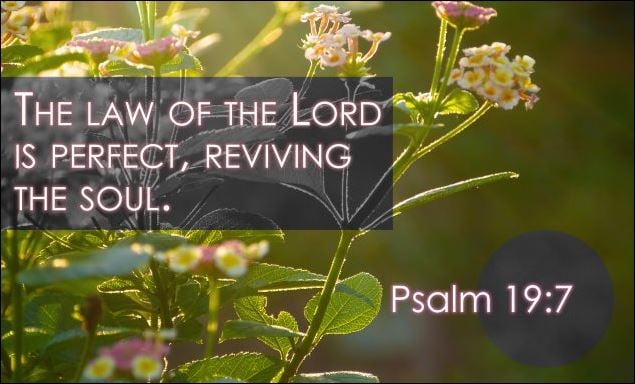 The Law of the Lord is Perfect