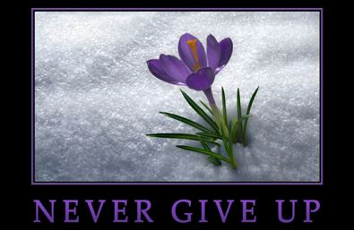 P.U.S.H. – Never Give Up
