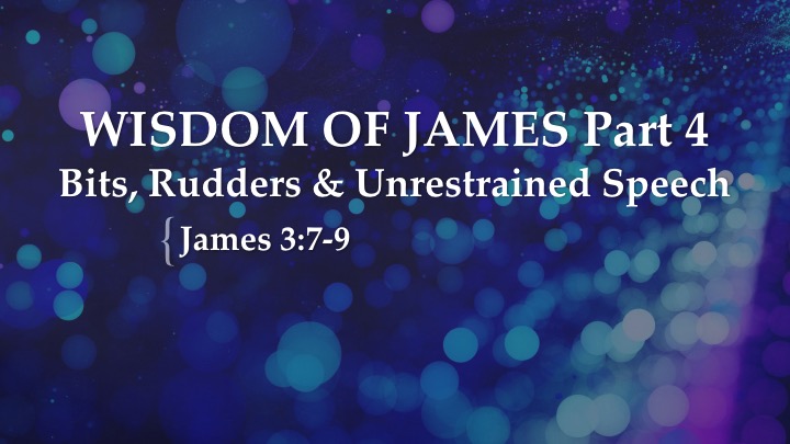 Wisdom of James, Part 4: Bits, Rudders and Unrestrained Speech