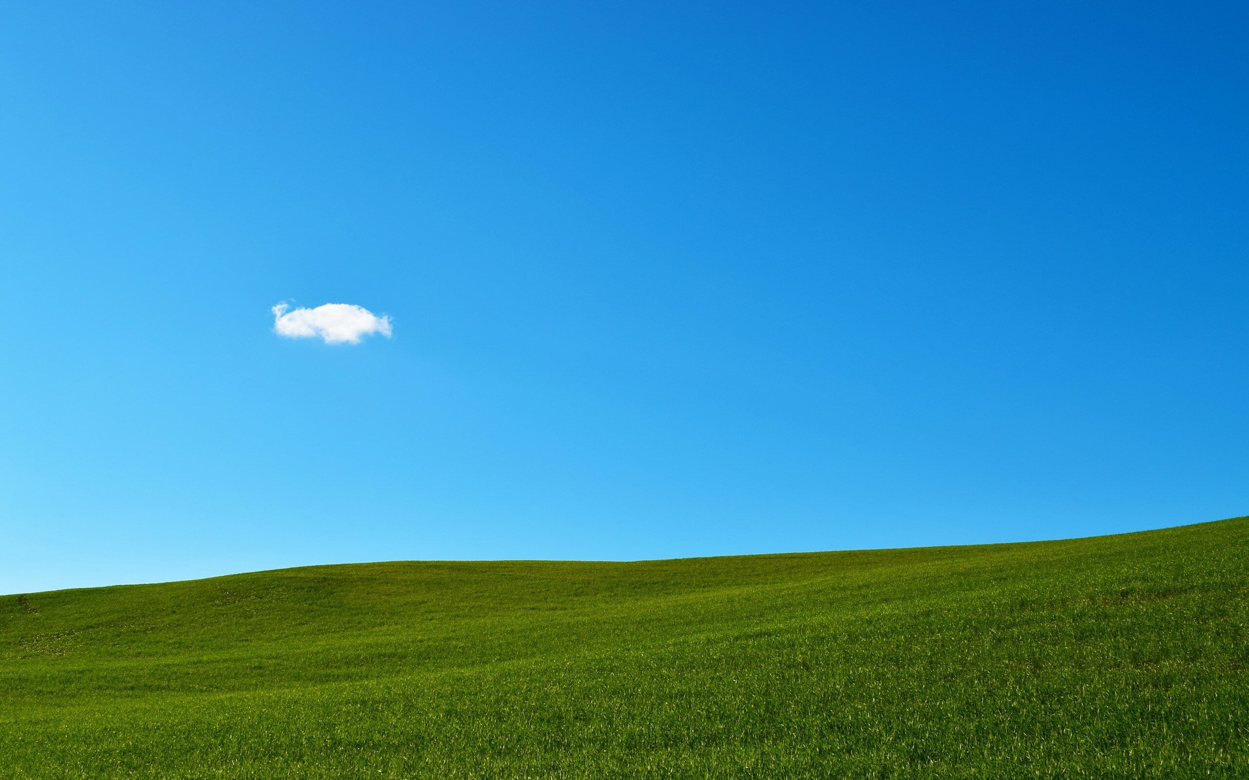 green grass field under blue sky