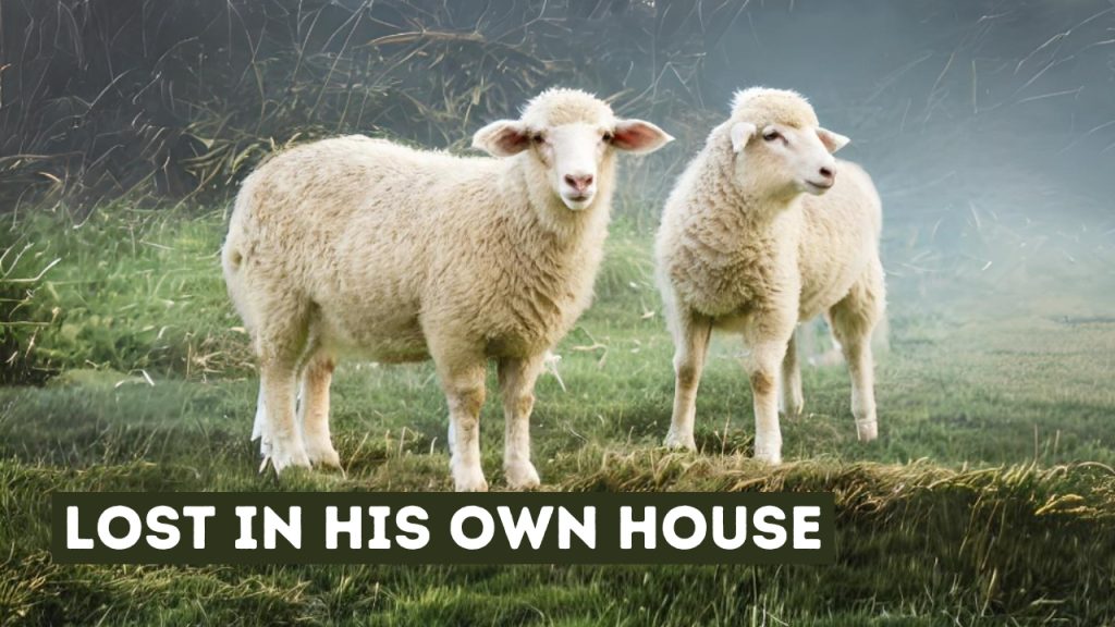 Lost In His Own House