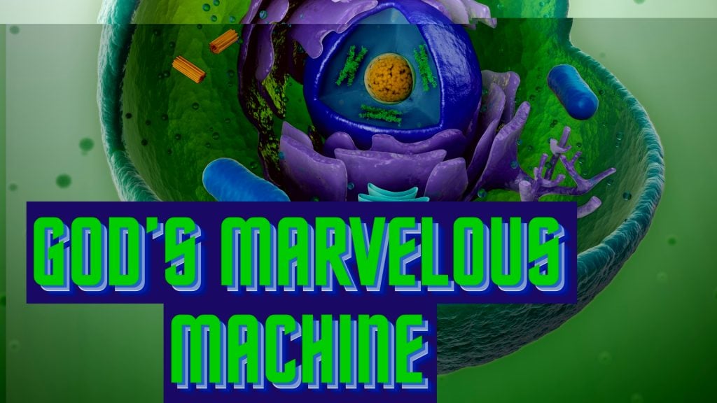 God’s Marvelous Machine