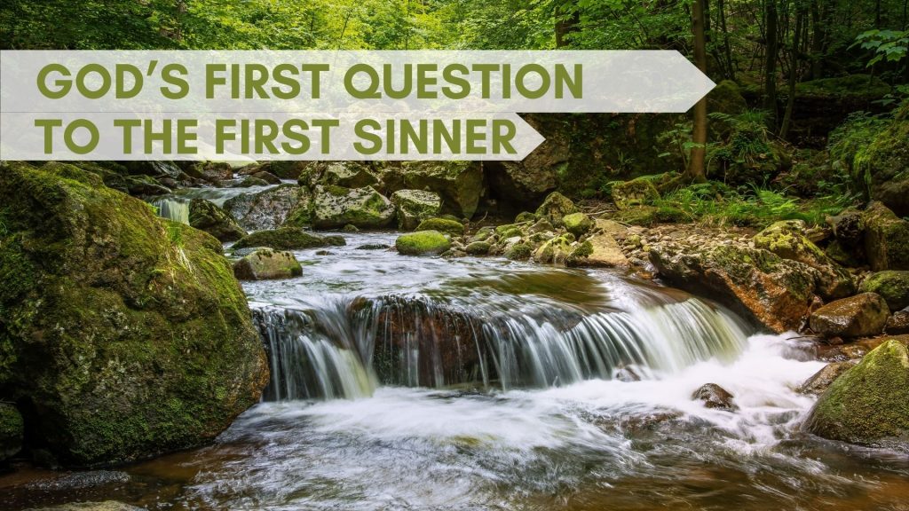 God’s First Question To The First Sinner