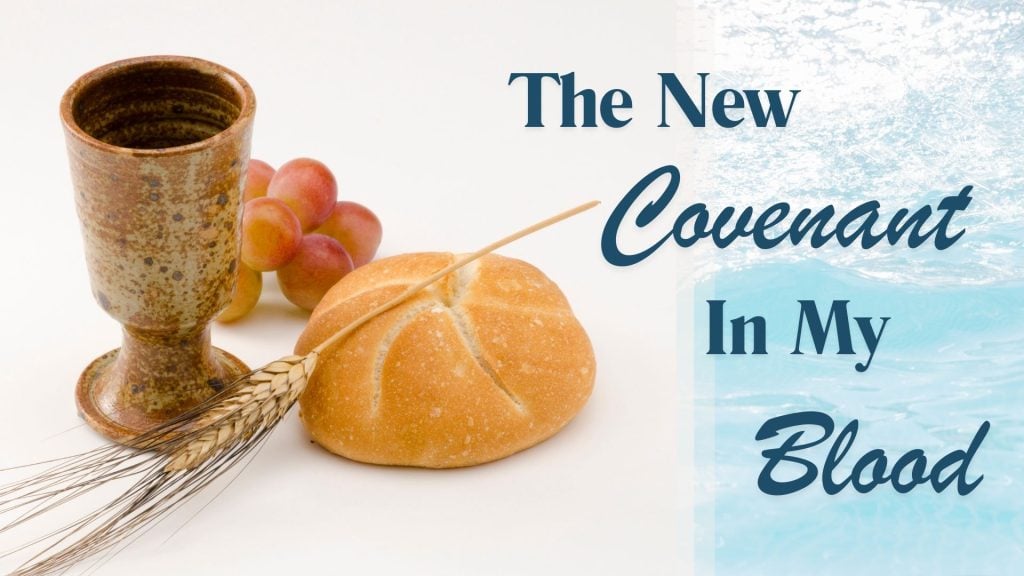 The New Covenant In My Blood