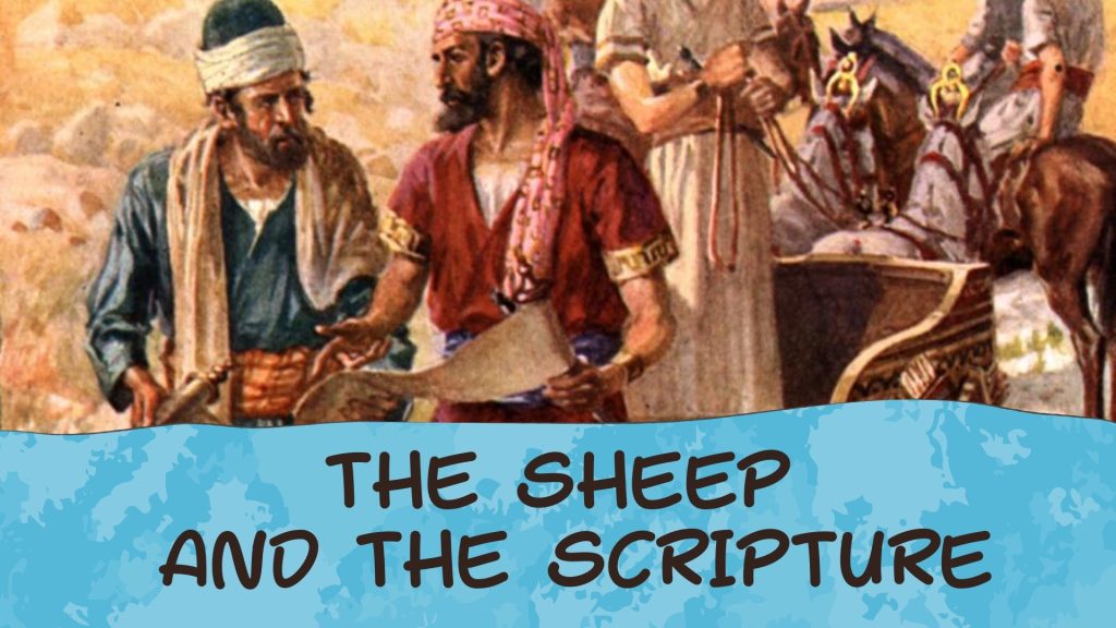 The Sheep And The Scripture