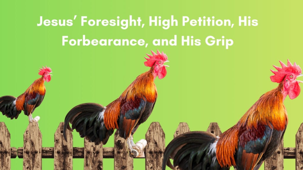 Jesus’ Foresight – High Petition – His Forbearance, and His Grip