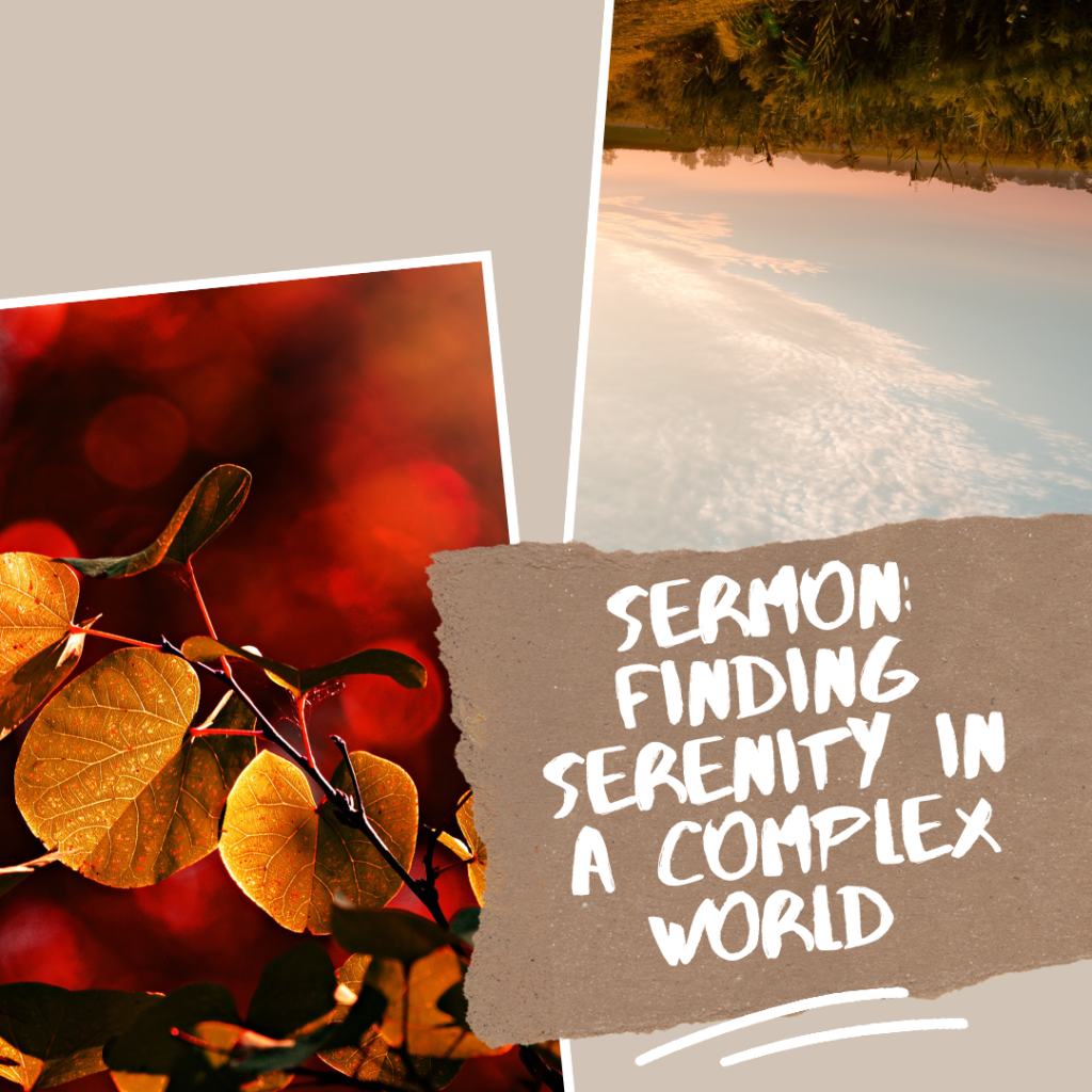 Finding Serenity in a Complex World
