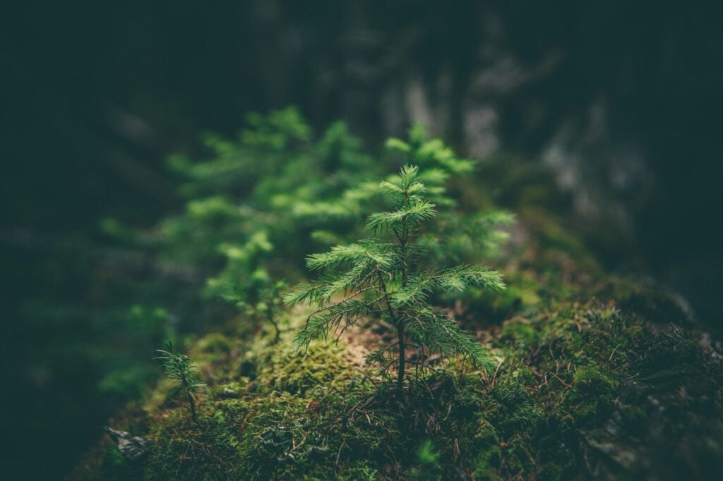 Stress Seminar Resources