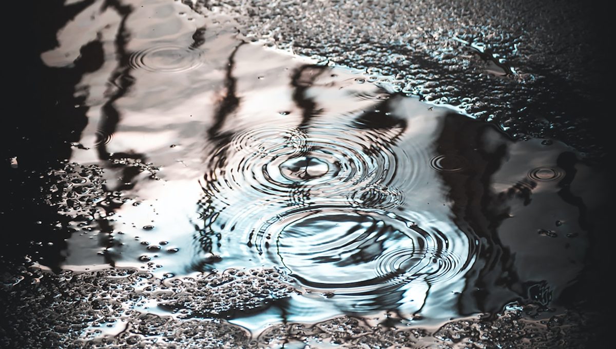 Fifth-Grader Spearheads Fundraiser after Water Main Bursts