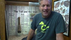 Nature Nugget: The Tall & the Small