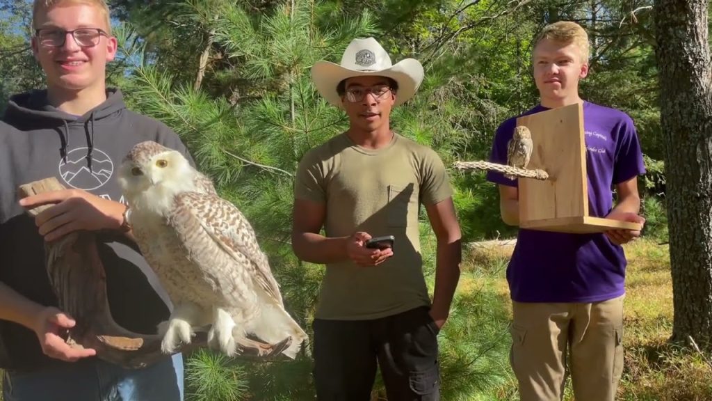 Nature Nugget: Owls (Part I)