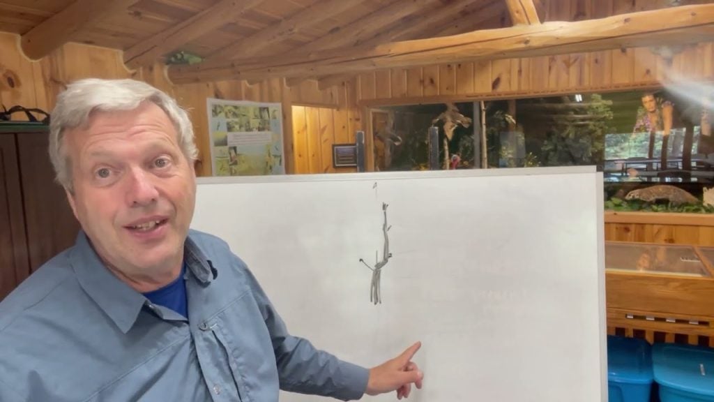 Nature Nugget: Trees That Tell Stories