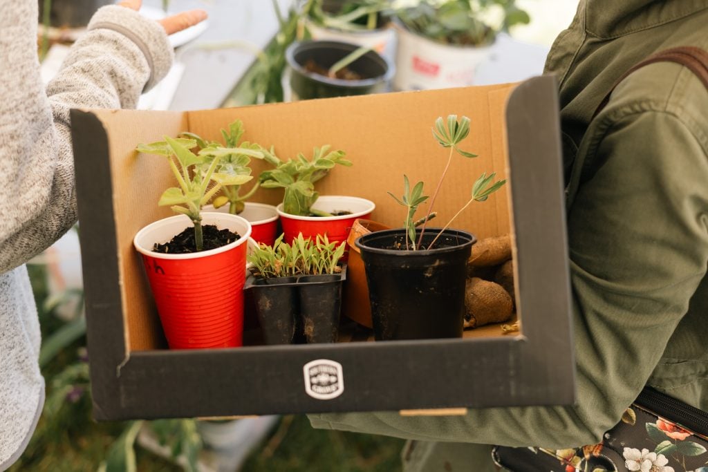 Village Church Hosts Plant Exchange Outreach