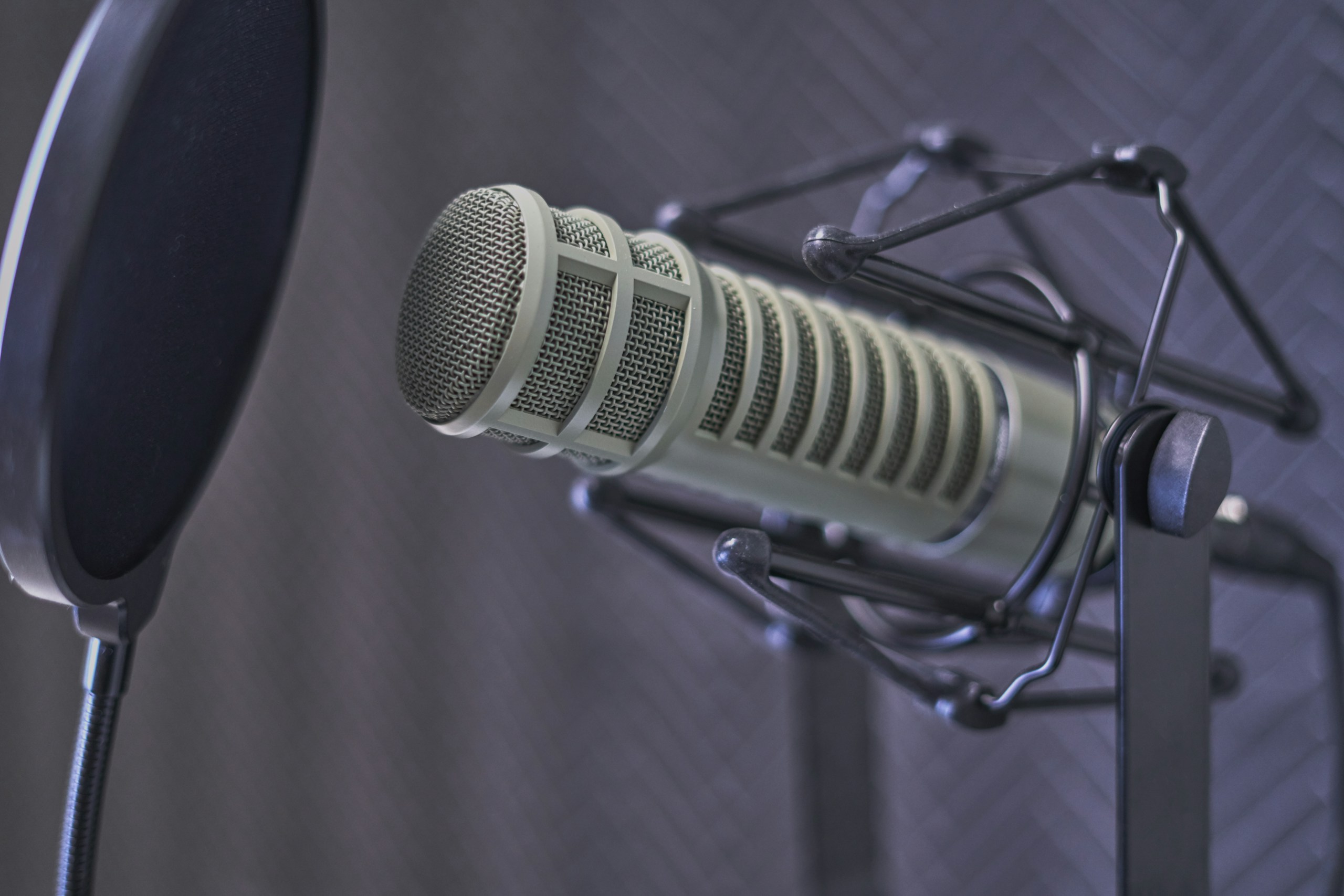 gray condenser microphone with pop filter