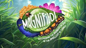 Magnified VBS 2025