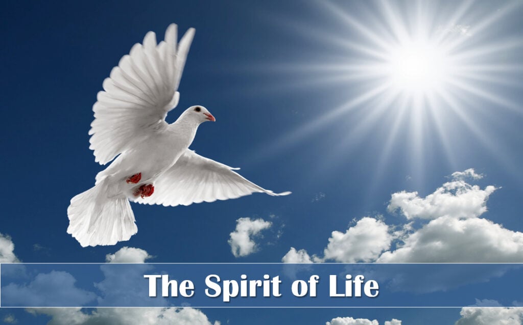 06-06-26 The Spirit Of Life