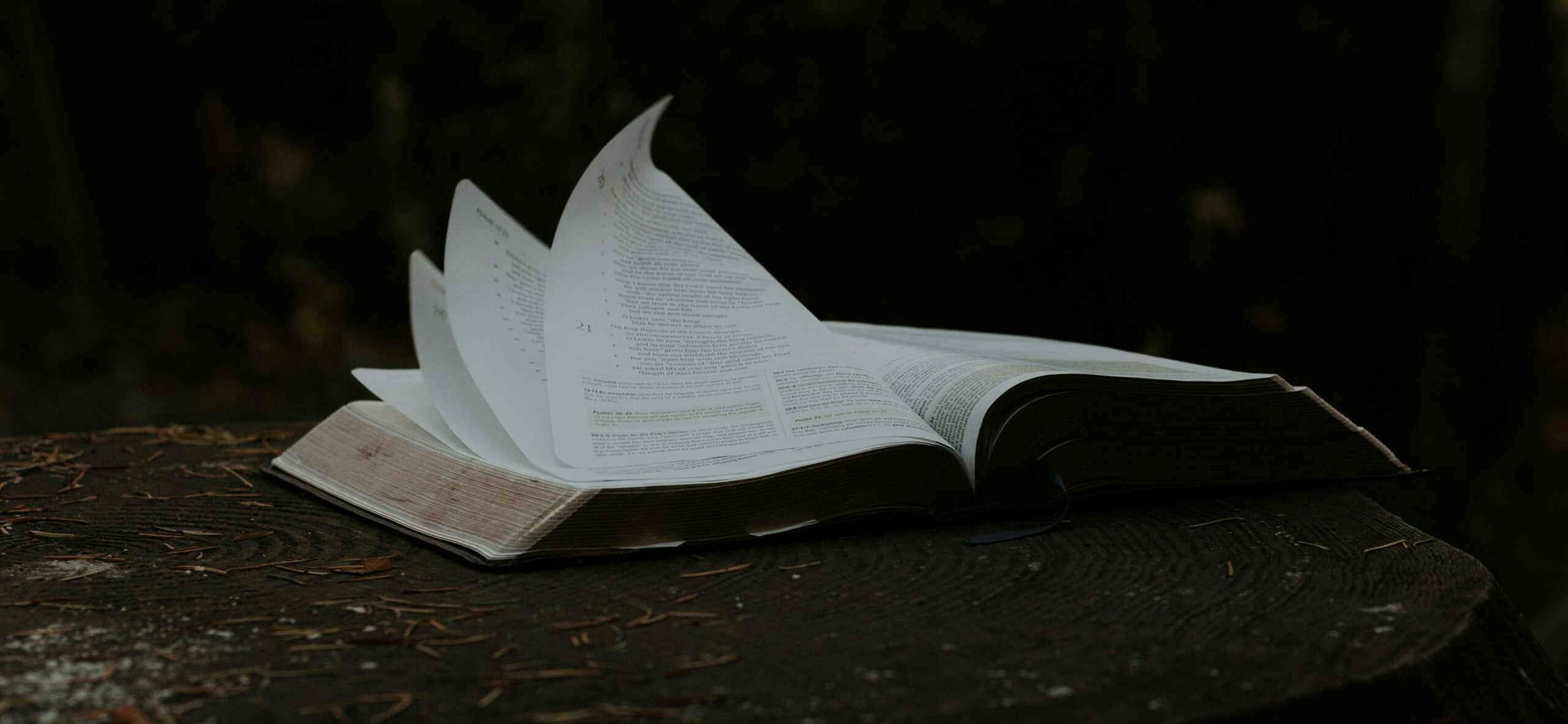 open book photograph