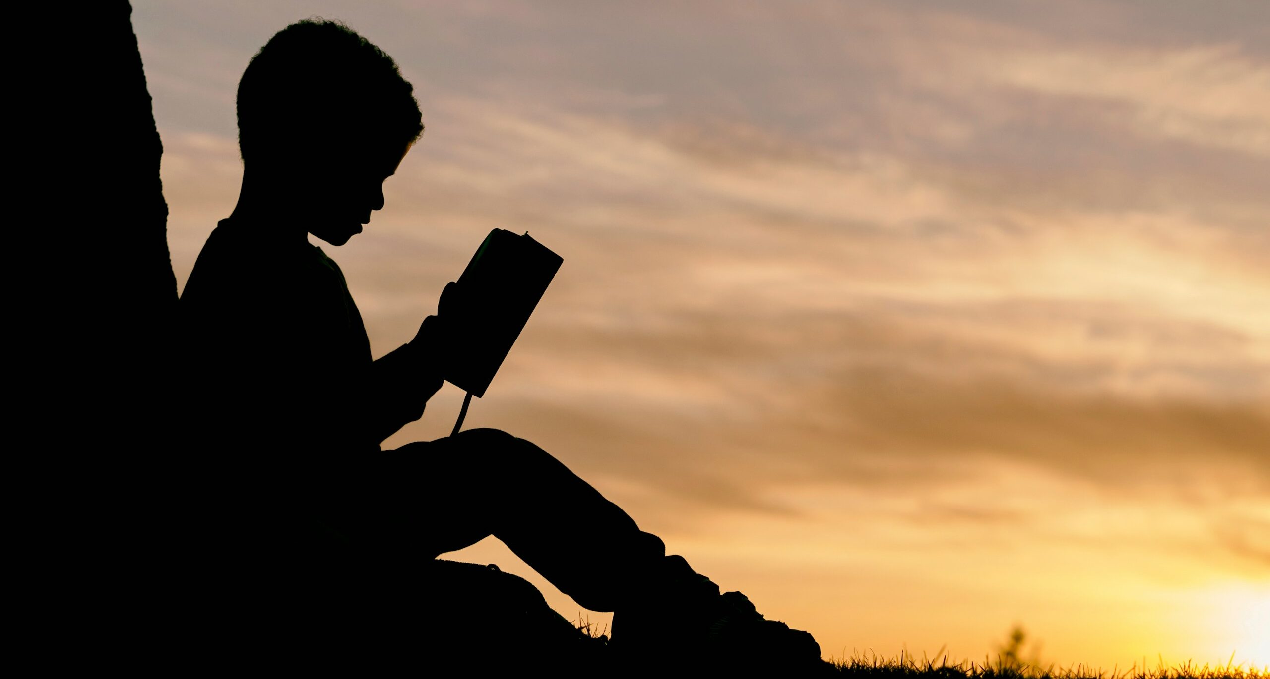silhouette of child sitting behind tree during sunset