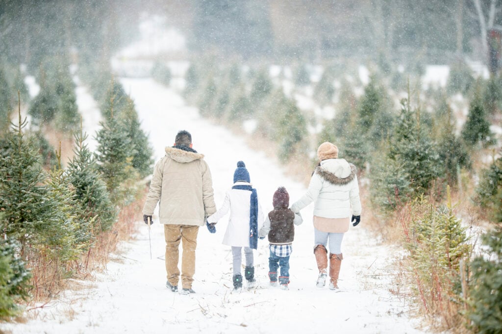 Family walking in winter scene