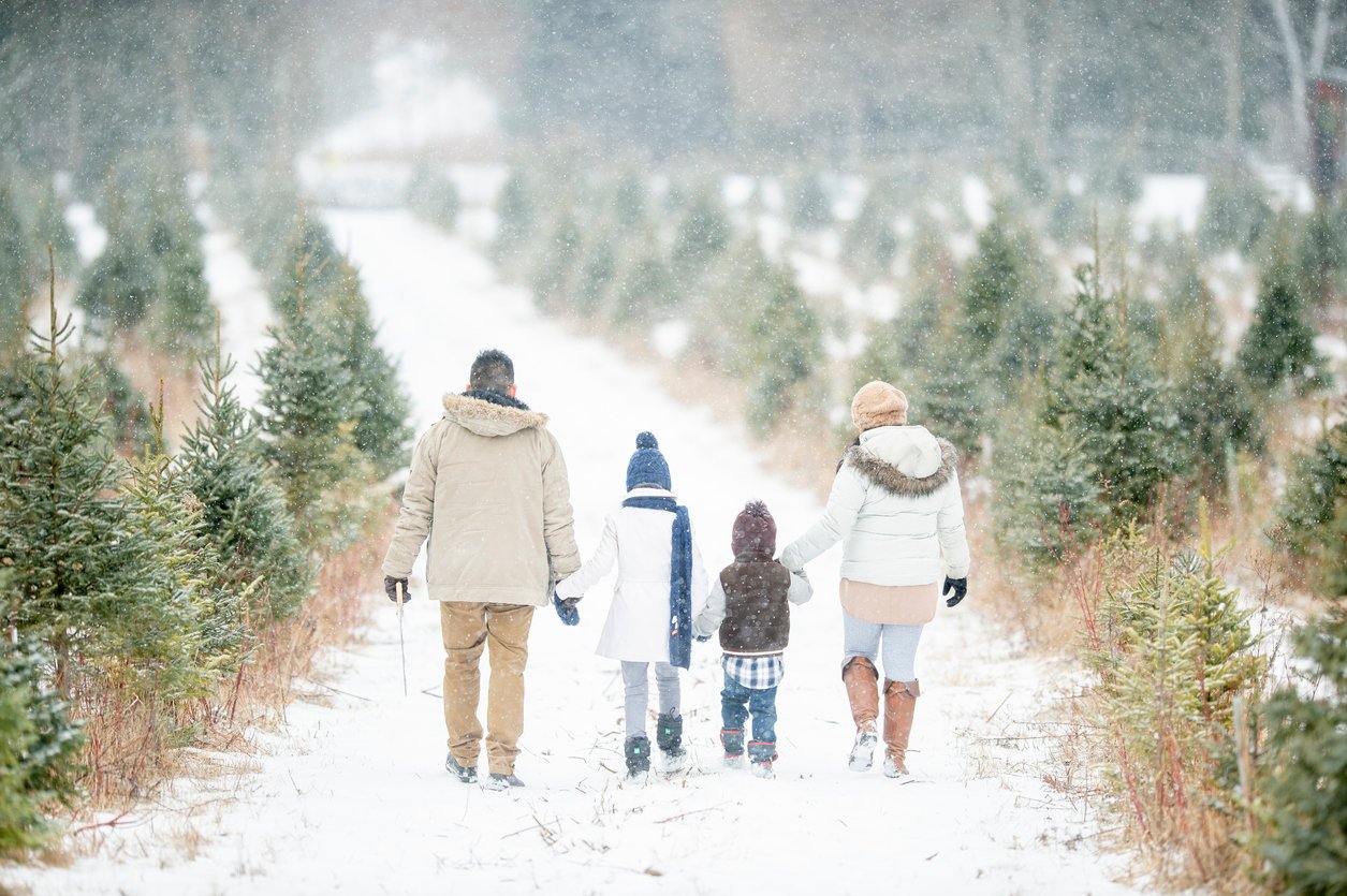 Family walking in winter scene
