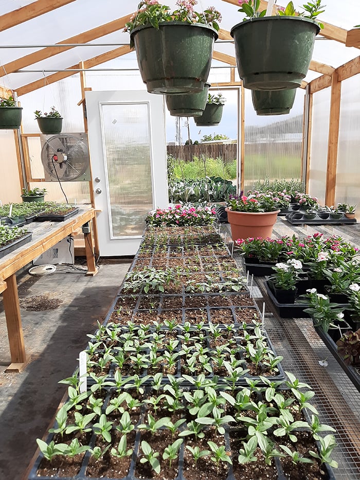 The “Seeds for Life” community garden was established in 2017 by the Page Seventh-day Adventist Church in Page, Arizona – a border town of the Navajo Nation.