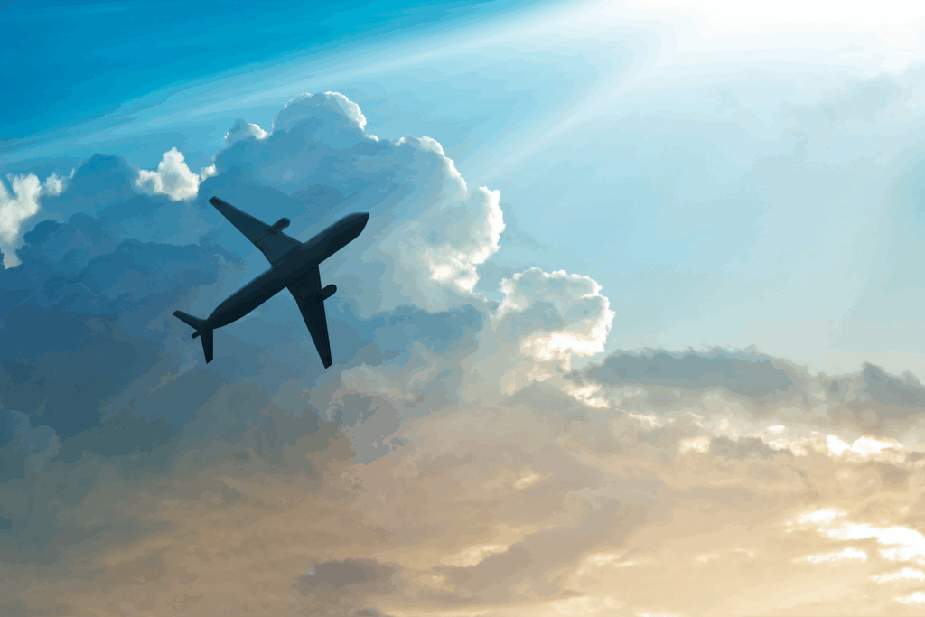 airplane high in the sky