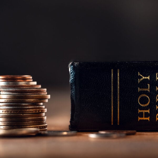 Stewardship and Management