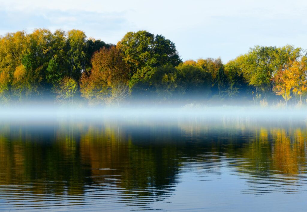autumn