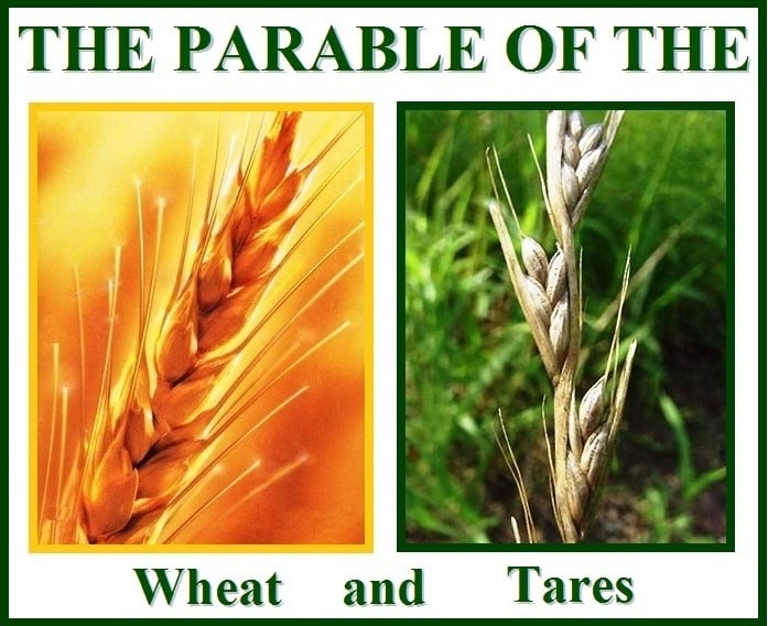 The Parable of the Wheat and  the Tares