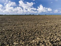 Fallow Ground